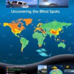 uncovering-the-blind-spots:-global-survey-exposes-major-biases-in-ocean-biodiversity-data