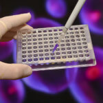 potency-assays-in-cell-and-gene-therapy:-strategies-for-manufacturing-and-regulatory-success
