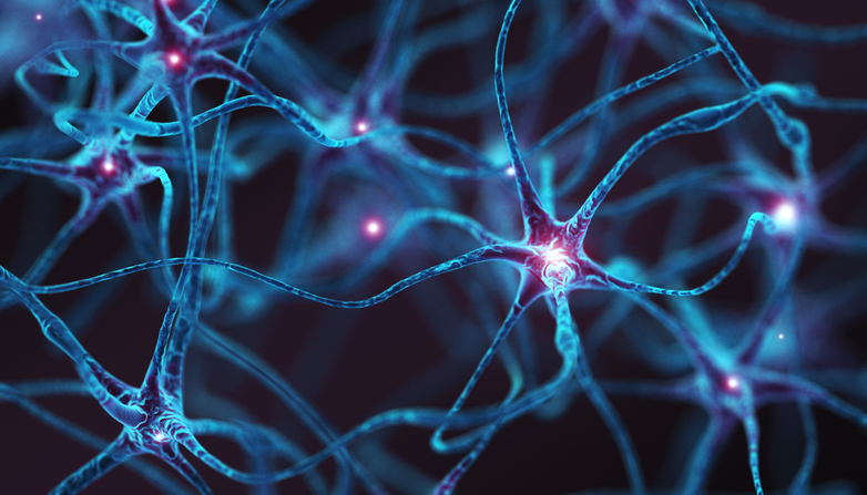 brain-receptor-structure-revealed-to-support-cerebellum-function-repair