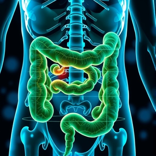 cell-therapy-enhances-survival-rates-in-colorectal-cancer-patients