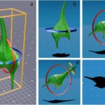 innovative-3d-modeling-technique-measures-light-shading-effects-of-freshwater-microalgae