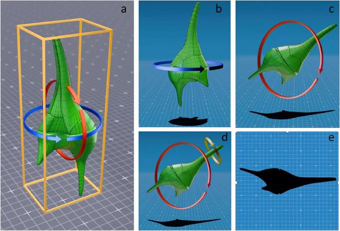innovative-3d-modeling-technique-measures-light-shading-effects-of-freshwater-microalgae