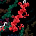 discovering-novel-protein-targets-for-innovative-cancer-therapies