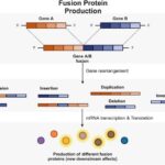 how-fusion-genes-influence-cancer-progression-and-transform-treatment-approaches