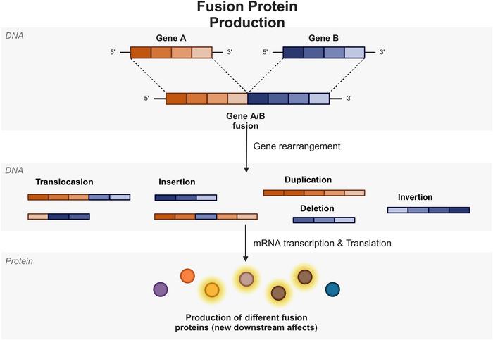 how-fusion-genes-influence-cancer-progression-and-transform-treatment-approaches
