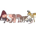 from-reptile-like-to-upright:-unraveling-the-dynamic-evolution-of-mammalian-posture