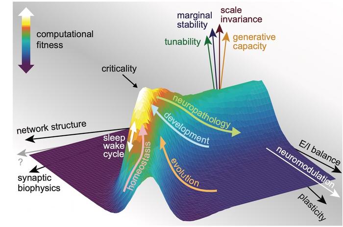 breakthrough:-toward-a-unified-theory-of-the-mind