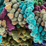 sandboxaq-debuts-public-database-of-protein-ligand-structures-and-binding-affinities