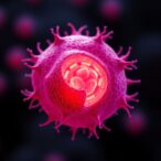 scientists-unveil-previously-unknown-organelle-within-human-cells