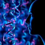 fine-mapping-sharpens-bipolar-disorder-gene-targets