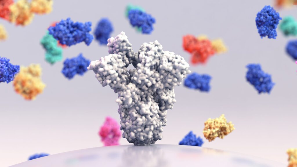 faster-monoclonal-antibody-production