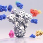faster-monoclonal-antibody-production