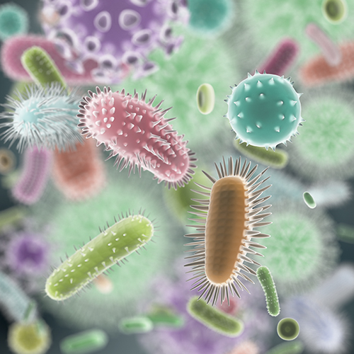 thirty-minute-cell-therapy-contaminant-testing