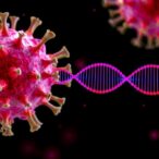 virus-induced-gene-editing-without-tissue-culture