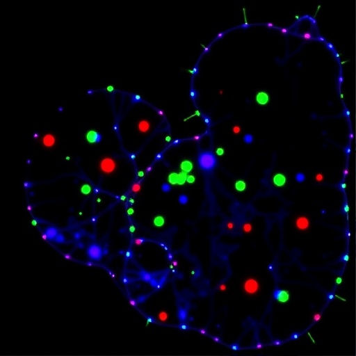 barcoded-tracing-reveals-astrocyte-glioma-suppression