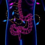 hpsc-derived-nitrergic-neurons-restore-gut-motility
