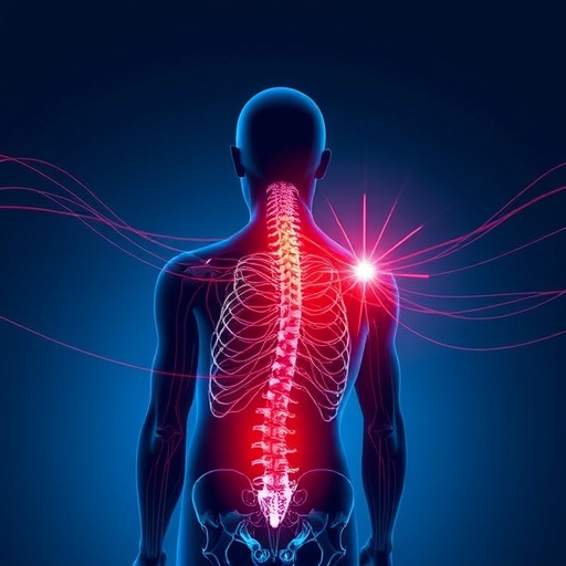 daily-electric-field-therapy-boosts-spinal-injury-recovery
