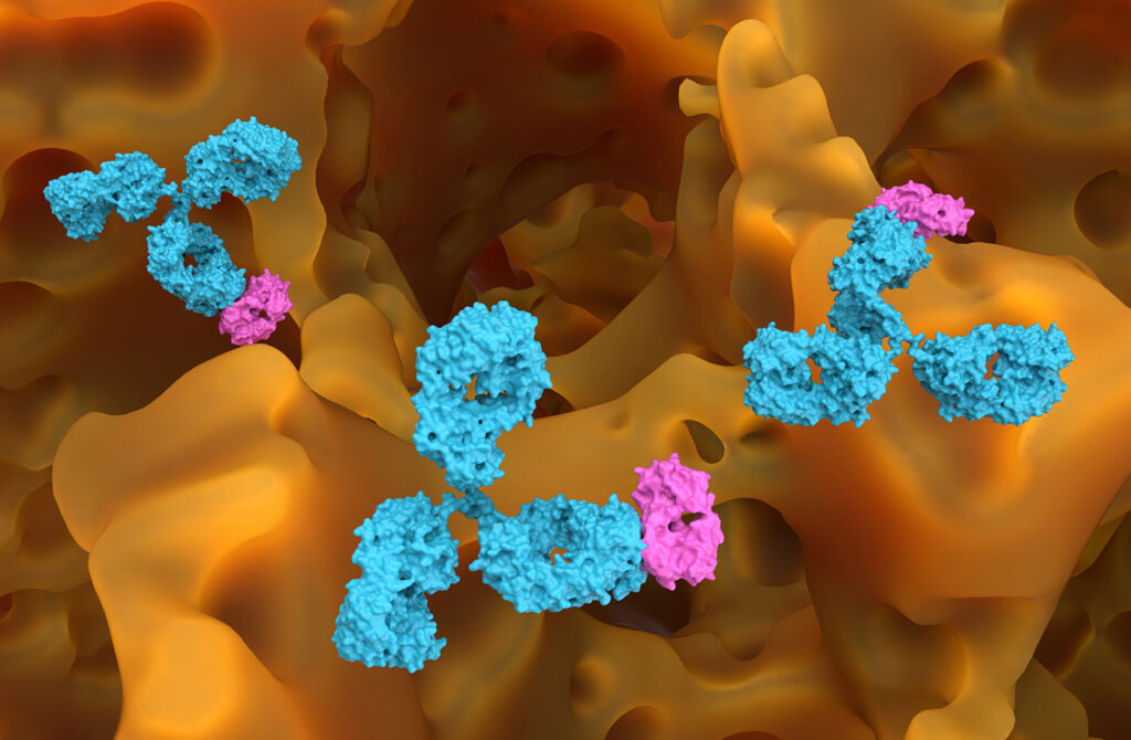 improving-process-reliability-in-mab-manufacturing