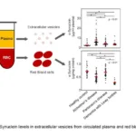 reduced-α-synuclein-levels-found-in-red-blood-cells-of-dementia-with-lewy-bodies-patients