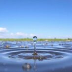scientists-evaluate-six-key-water-conservation-techniques-for-agriculture
