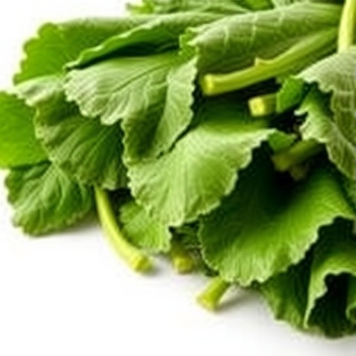 leafy-greens-may-promote-heart-health,-new-study-suggests