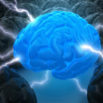 severe-epileptic-encephalopathy-linked-to-citrate-transporter-mutations