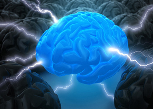 severe-epileptic-encephalopathy-linked-to-citrate-transporter-mutations