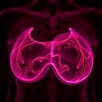 lab-grown-breast-tissue-sheds-new-light-on-lactation-science