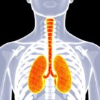 innovative-urine-based-tumor-dna-test-promises-personalized-bladder-cancer-therapy