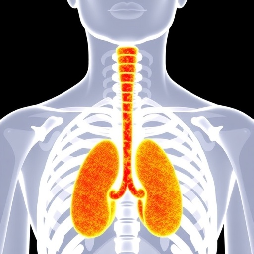 innovative-urine-based-tumor-dna-test-promises-personalized-bladder-cancer-therapy