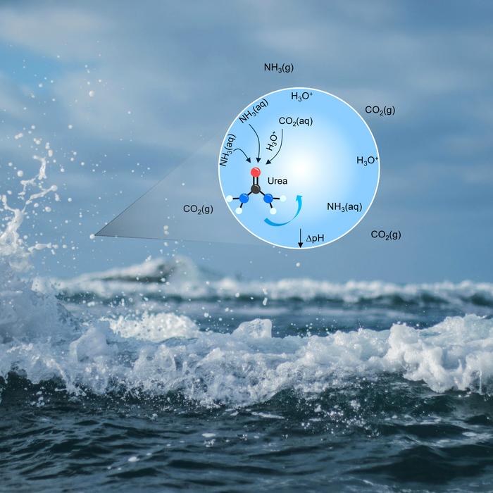 the-spontaneous-formation-of-urea:-a-scientific-breakthrough