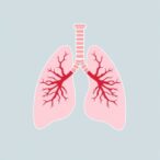 late-pulmonary-hypertension-following-antenatal-inflammation