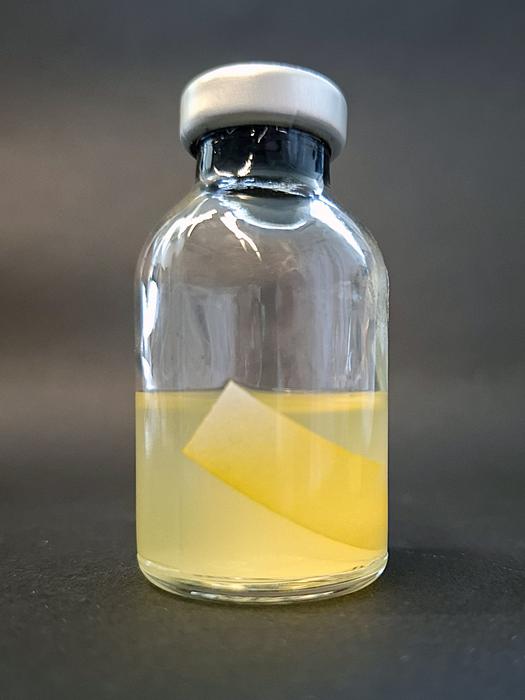 pigments-with-expanded-capabilities-unveiled