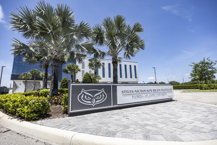 breakthrough-in-glioblastoma-research:-fau-secures-grants-to-advance-brain-cancer-treatment
