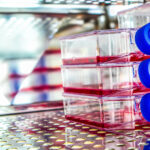 confronting-a-dwindling-supply-of-fetal-bovine-serum