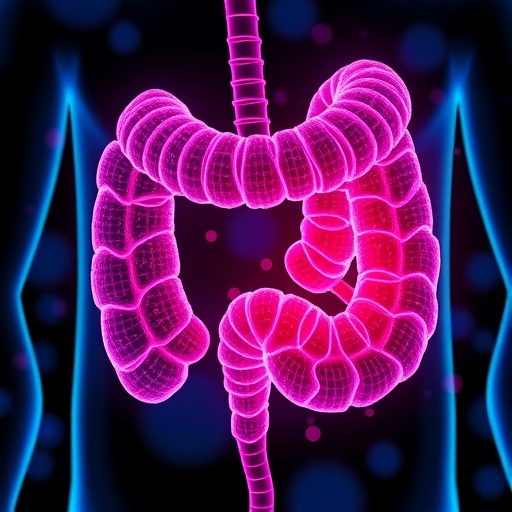 chitosan-lactobacillus-nanoparticles-combat-colon-cancer