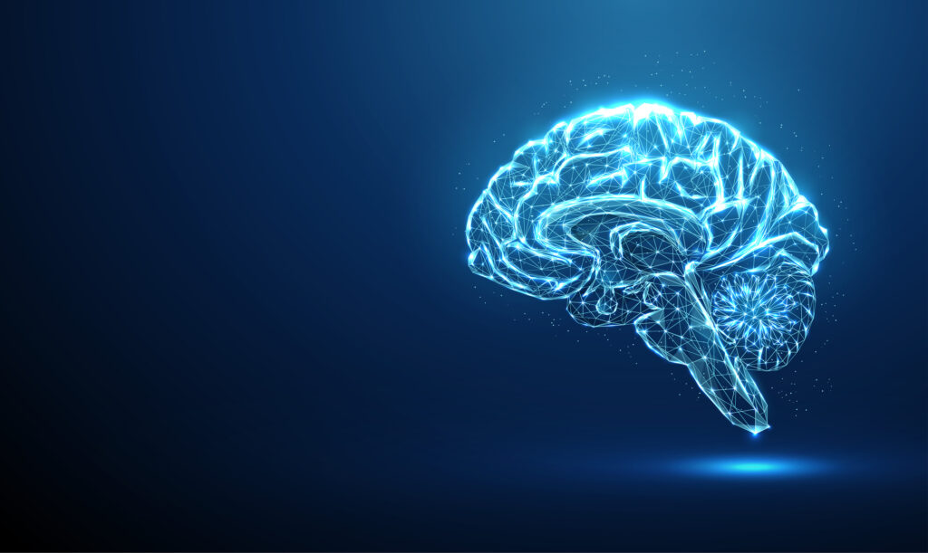 dual-target-car-t-cell-therapy-slows-glioblastoma-tumors-in-phase-i-trial