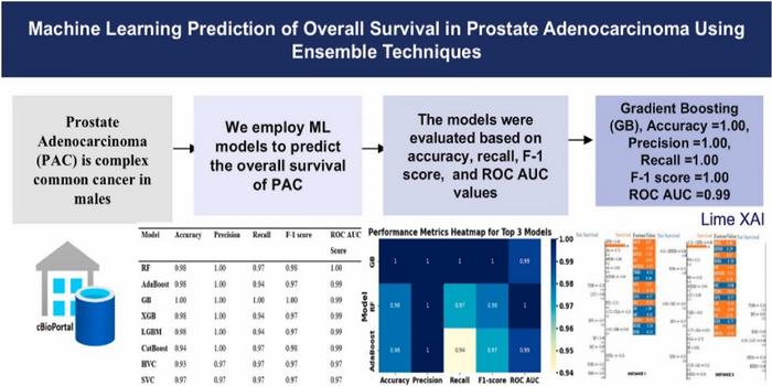researchers-create-ai-technique-to-forecast-prostate-cancer-patients’-overall-survival-rates