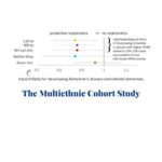 it’s-never-too-late-to-improve-your-brain-health-through-better-nutrition