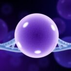 predicting-tamoxifen-success:-genes-and-survival