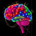 proteomic-atlas-reveals-brain-structure-disorder-links