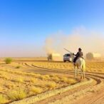 study-reveals-link-between-human-induced-dust-events-and-fallow-farmland