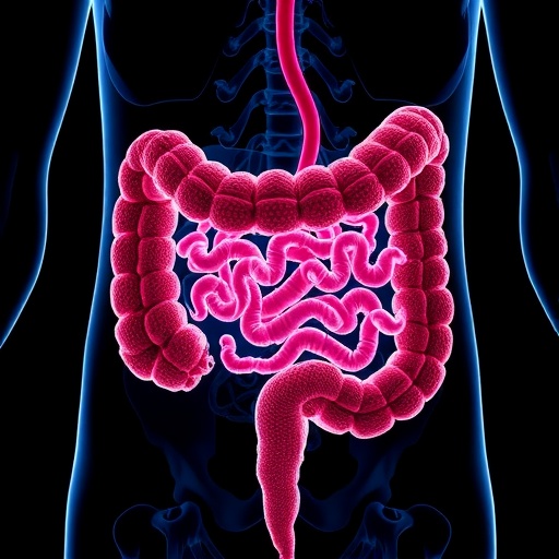 cholesterol-fuels-colorectal-cancer:-gut-microbiota-and-simvastatin-counteract