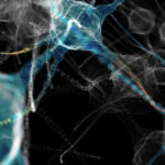 diminished-stress-response-in-aging-neurons-linked-to-neurodegeneration