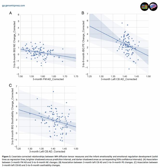 infant-brain-connectivity-at-3-months-forecasts-emotional-development