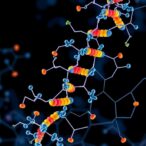 efficient-mitochondrial-a-to-g-base-editors-developed