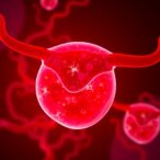 cebpb-drives-endometrial-hyperplasia-to-cancer