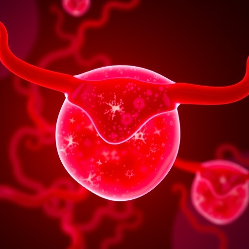 cebpb-drives-endometrial-hyperplasia-to-cancer