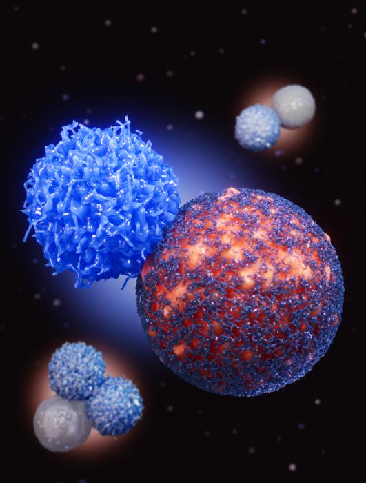 pd-1-regulates-cd30,-curbs-t-cell-suppression-in-melanoma