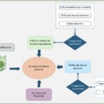 enhancing-apple-disease-detection-through-multi-scale-features-and-attention-mechanisms